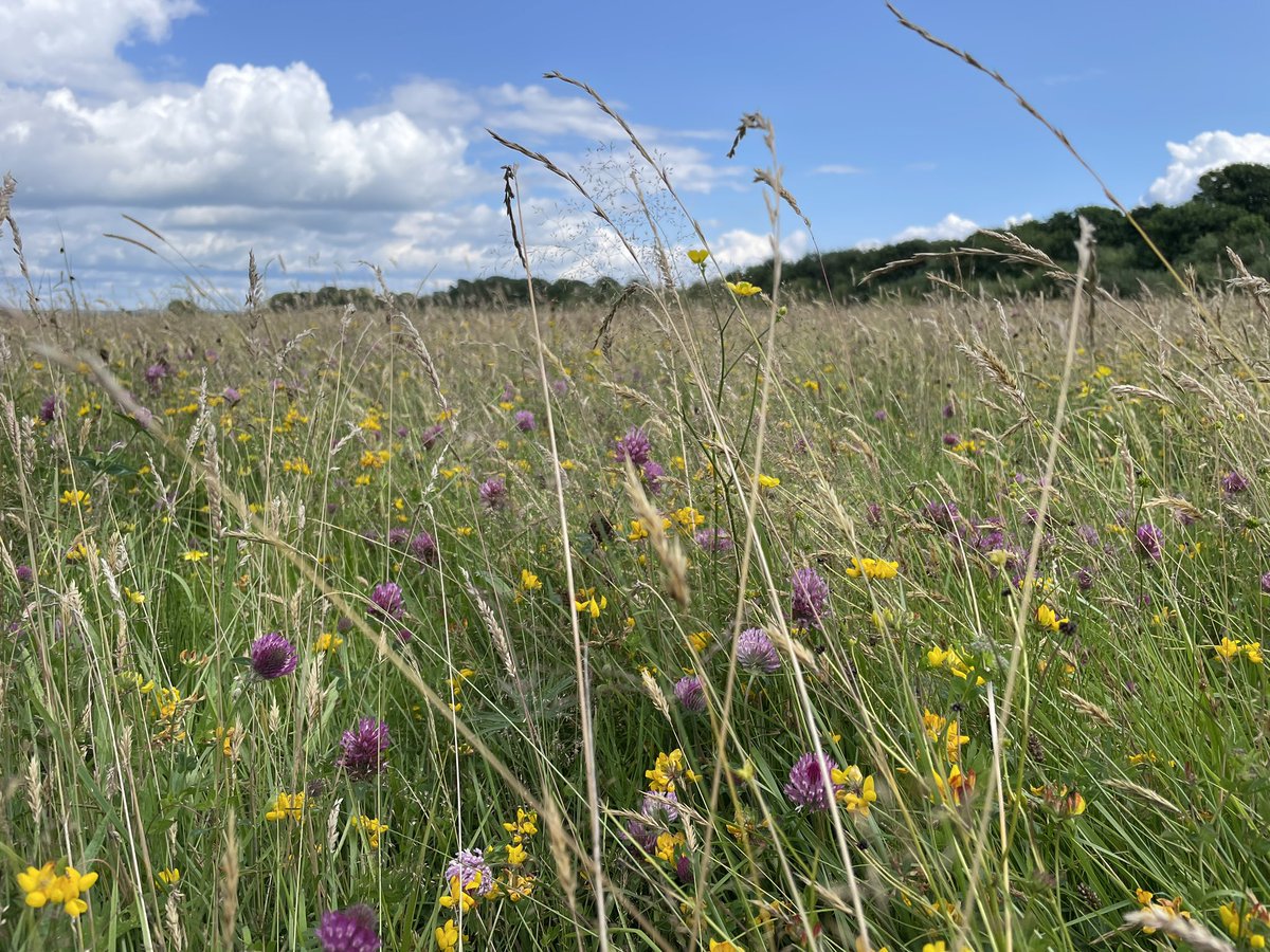 CathCooke18's tweet photo. @WWTCaerlaverock What a great day we’ve had today, opening up possibility thinking about the future https://t.co/pwr7dA9n7r