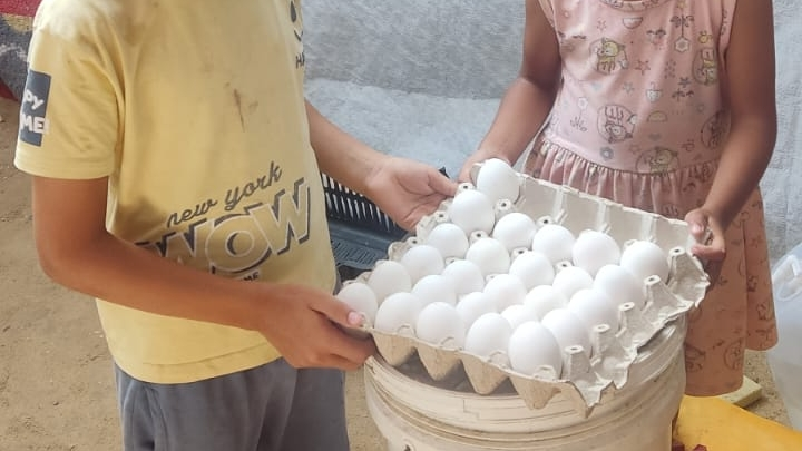 valkwise's tweet photo. iman has not received a d/onation in 4 days. she used to post videos and photos of her living situation almost daily, but her ig page was taken down. 

here is how d/onations have helped iman's family so far. please keep sharing and give what you can. 

https://t.co/ss9xkj1zwI https://t.co/zN1huIiurm