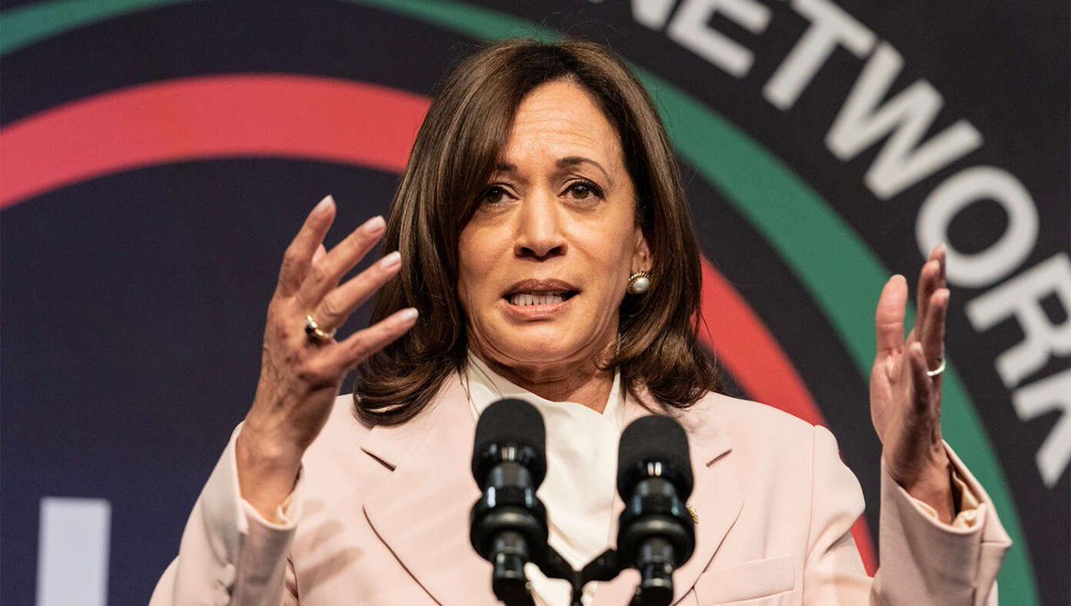 TheBabylonBee's tweet image. &apos;Donald Trump Will Destroy Democracy,&apos; Says Party Nominating Candidate No One Voted For buff.ly/4fioWgY