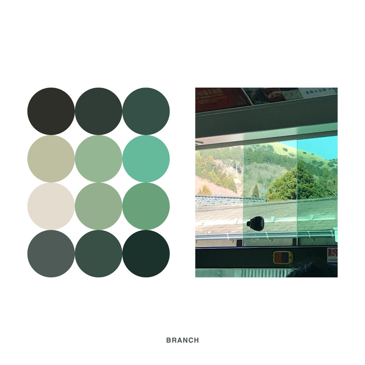 色に還す。
Turn into the color.

#BRANCH #objectiveeye #turnintothecolor #artandscience