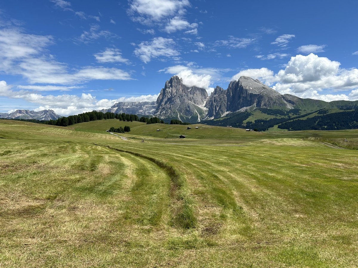 Marta Escapes tweet media