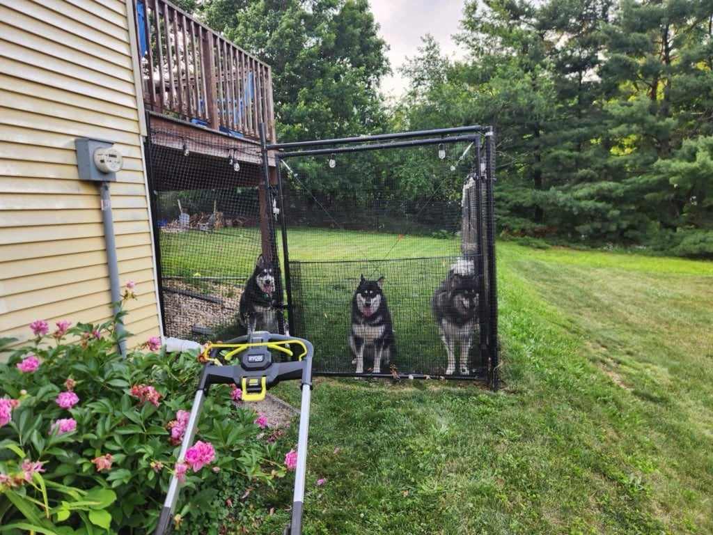 Humane Society HBG tweet media