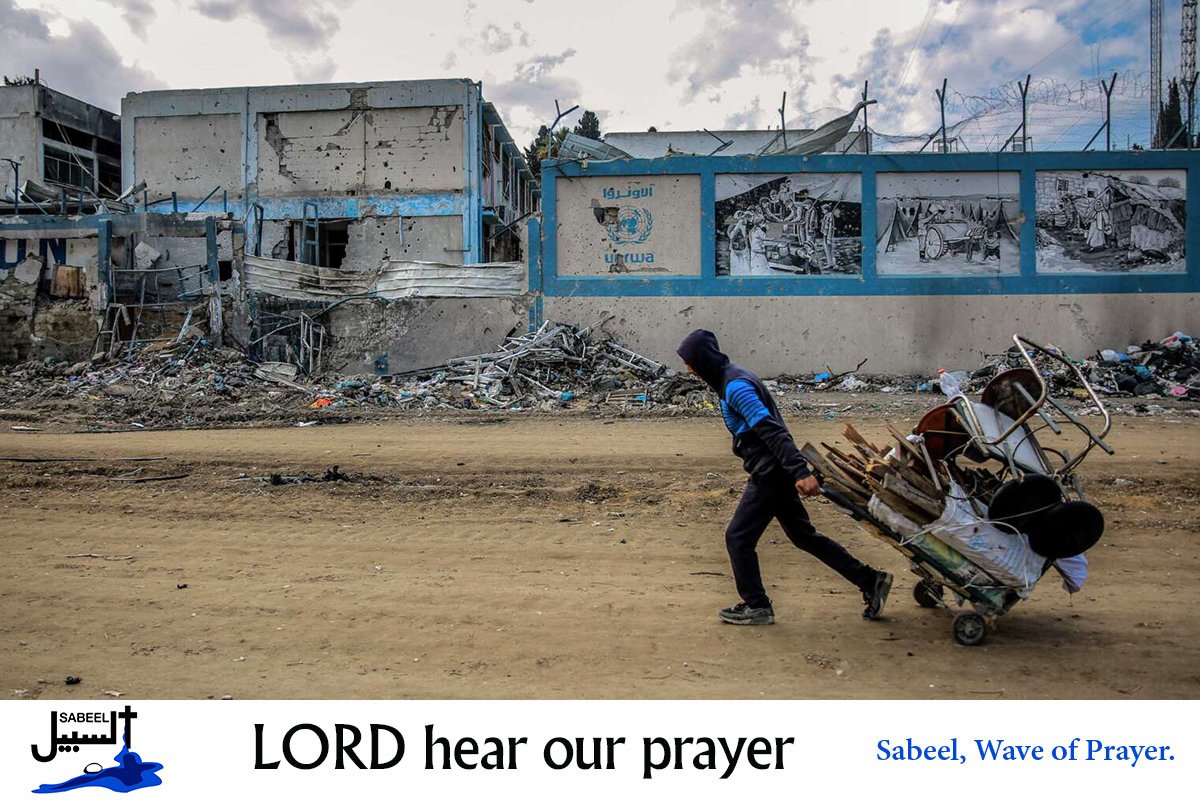 SabeelJerusalem's tweet photo. The Israeli military continues its relentless bombing of Gaza through weapons......
https://t.co/uaZ5a6A18D https://t.co/HZblaYGmJV