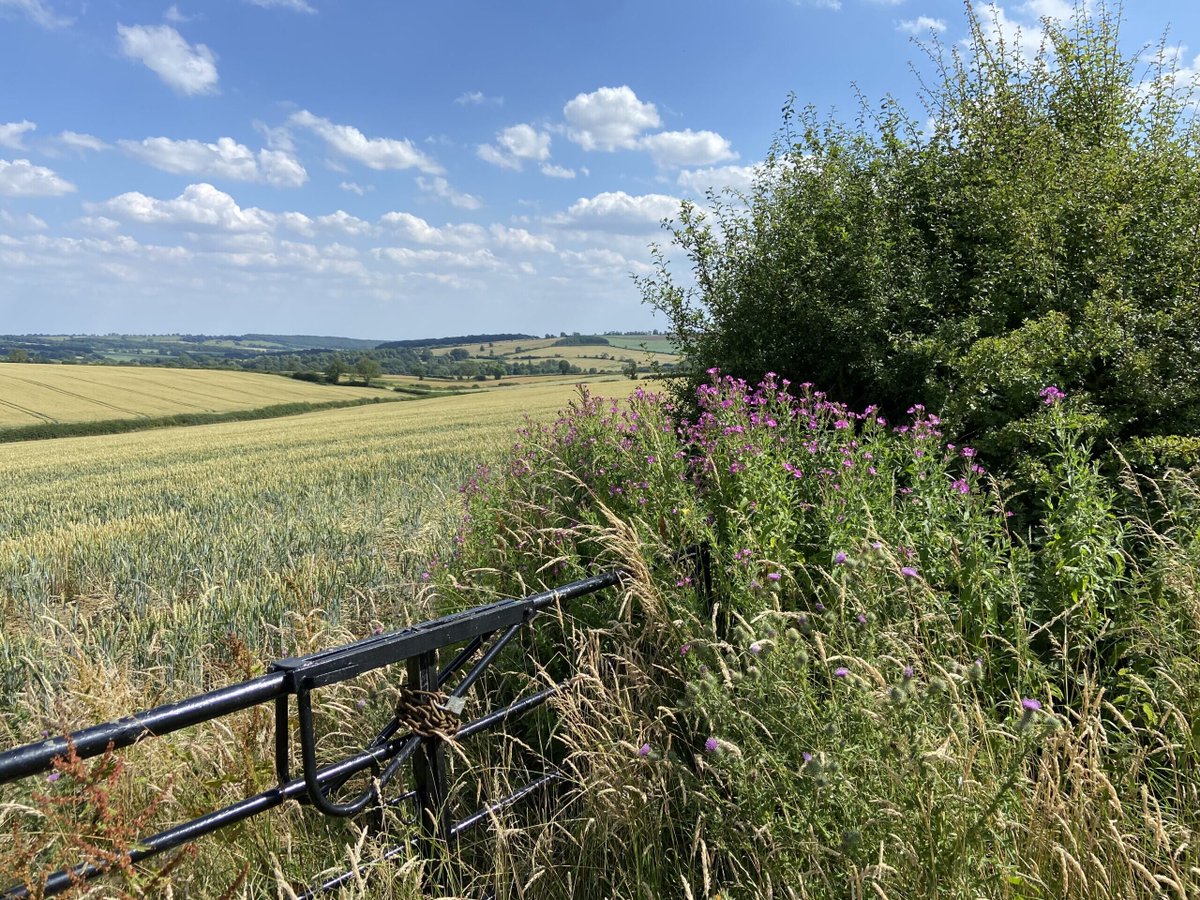 We are looking for a full time Research Assistant at the
<a href="/AllertonProject/">The Allerton Project</a>
- A fantastic opportunity to find solutions for productive farming with wildlife and resource conservation.  #research Closes 8th August allertontrust.org.uk/staff/jobs/
