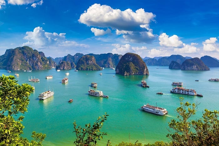 ScottTravelKe's tweet photo. Discover the hidden gems of Vietnam with Scott Travel Group! 🏞️✨ | Book now for just USD 595 per person!

📲: +254 740 421 154 | 📧: tours@stg.travel | 🌐: https://t.co/bc5EPjIJPw https://t.co/bx4Eu1zfM5