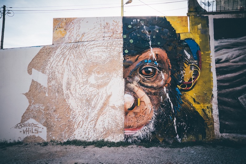 One of my favorite artists on the planet, <a href="/vhils1/">Vhils</a> , has linked up with <a href="/BordaloII/">Bordalo II</a>  to honor Darwin with a remarkable new mural.

stupiddope.com/.../celebratin…