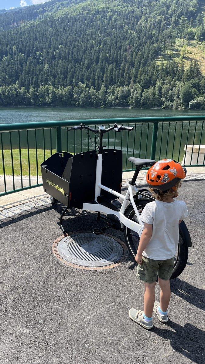 Cargo Bike Daddy tweet media