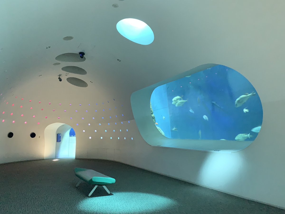 個人的「うみたまごのここに布団敷いて寝たい」
優勝はこの空間です！！！🥚🥚🥚🥚🥚👑