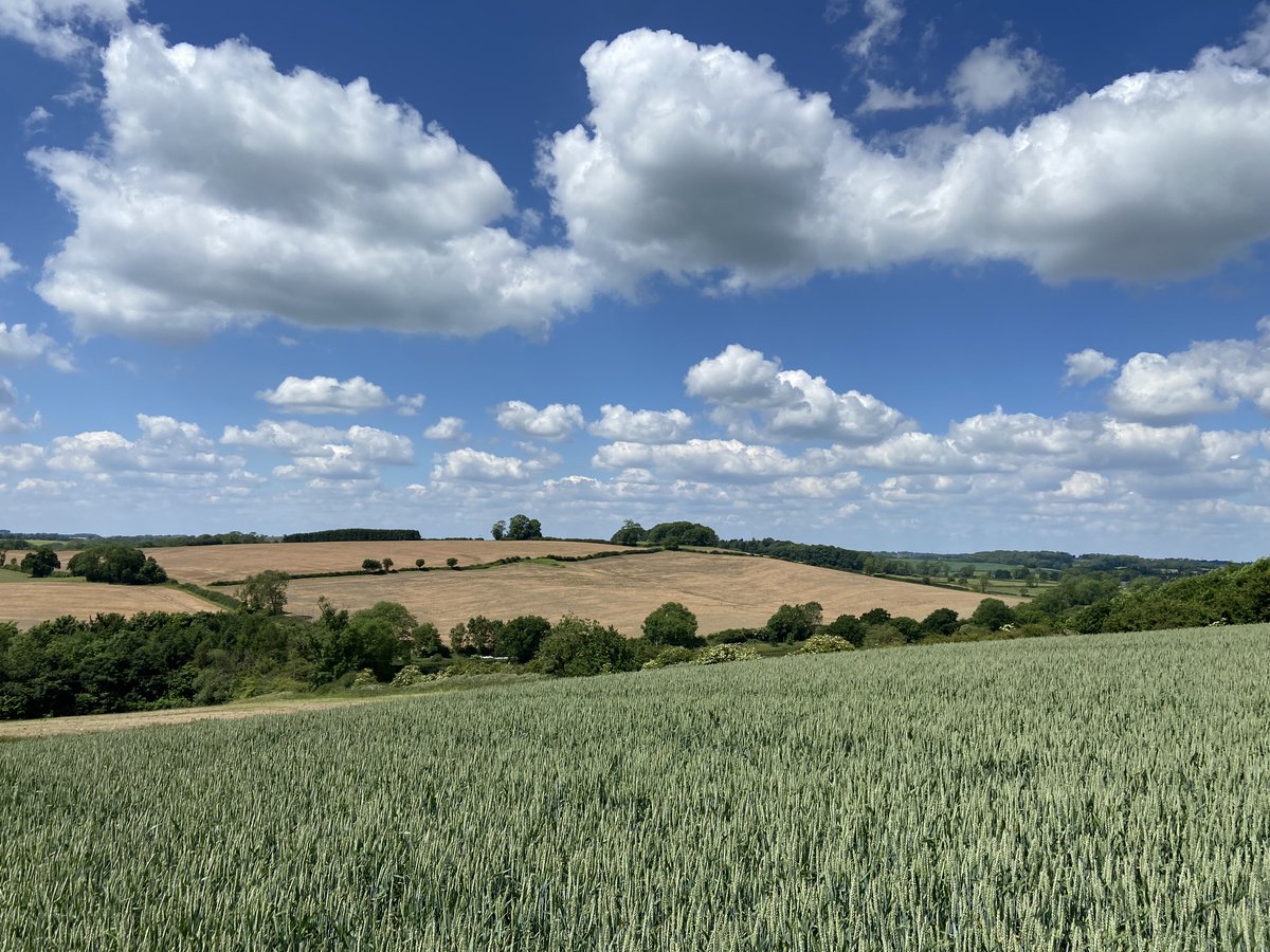 Places are currently available for our September Certificate in Sustainable Land Management Course. Book now to grab those last few slots.
allertontrust.org.uk/training/susta… <a href="/JoeWStanley/">Joe Stanley</a>  <a href="/Alicemidmer/">Alice Mead</a>