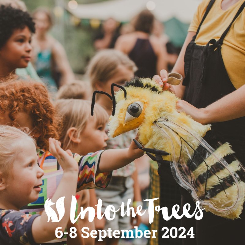 Elderflower Fields tweet media