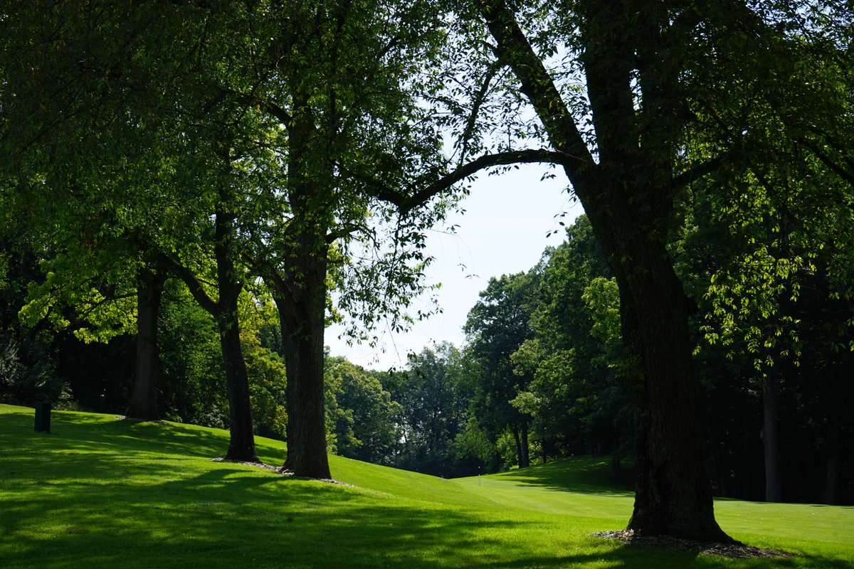 Good morning from Leslie Park 🌳

Round one of the #PreAnnArbor begins today!