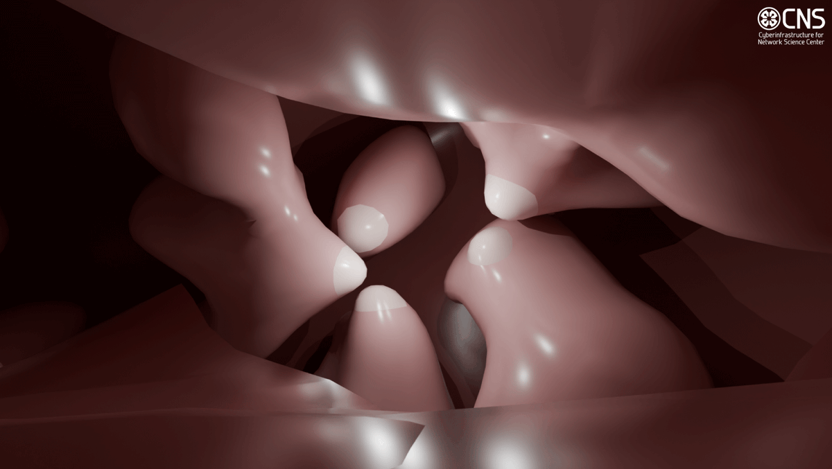 CNS Center (@cnscenter) on Twitter photo 🧩Contest Time! It's time for a new image challenge! Can you guess the organ? 📷🔍 Drop your guess in the comments and retweet! 💬All correct answers enter a prize raffle! New challenge every Tuesday through mid-August! 🏆 #HRA #GuessTheOrgan <a href="/katycns/">Katy Borner</a> <a href="/AndreasBueckle/">Andreas Bueckle, PhD</a> 🧩Contest Time! It's time for a new image challenge! Can you guess the organ? 📷🔍 Drop your guess in the comments and retweet! 💬All correct answers enter a prize raffle! New challenge every Tuesday through mid-August! 🏆 #HRA #GuessTheOrgan <a href="/katycns/">Katy Borner</a> <a href="/AndreasBueckle/">Andreas Bueckle, PhD</a>
