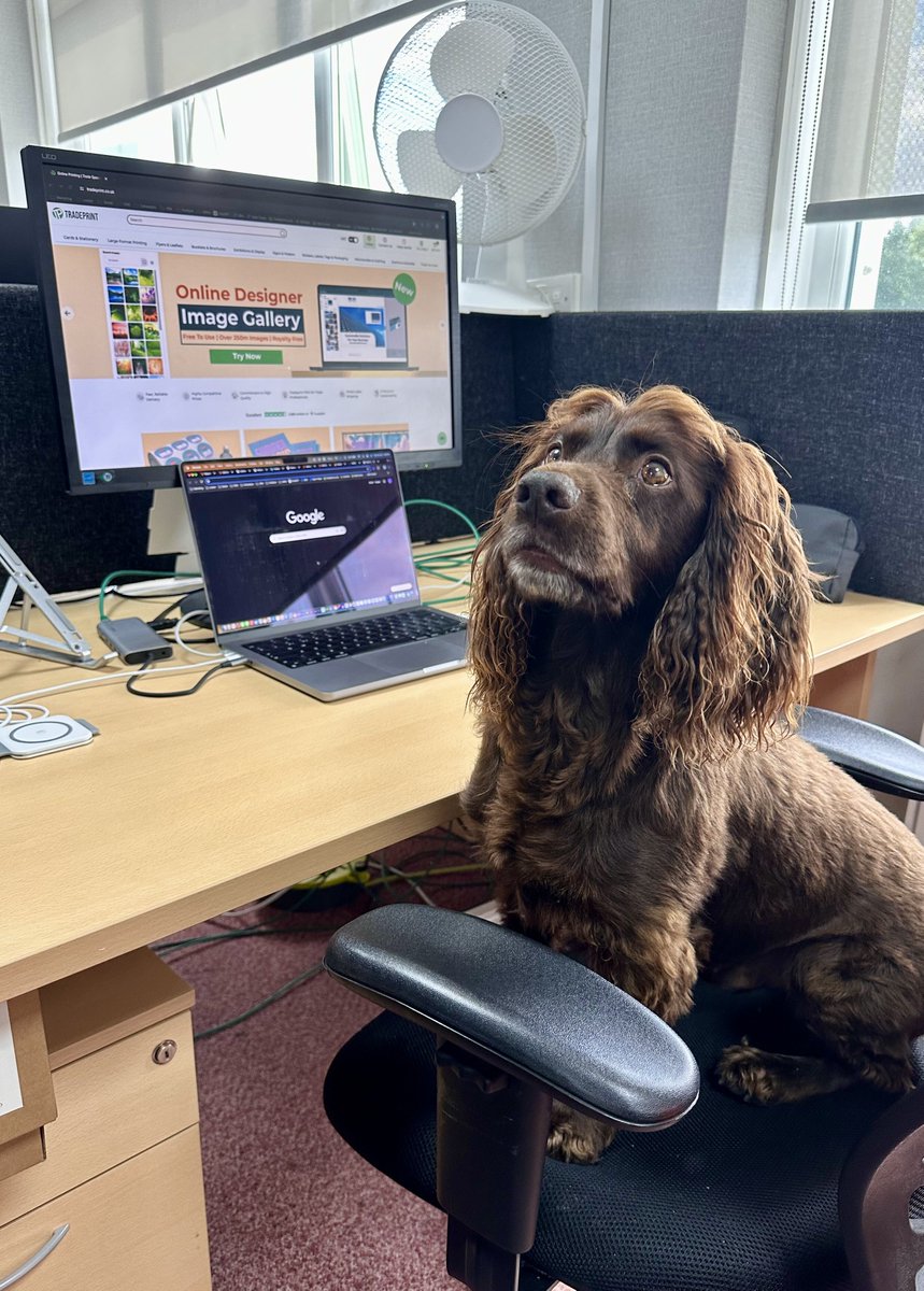 Tradeprint.co.uk tweet media