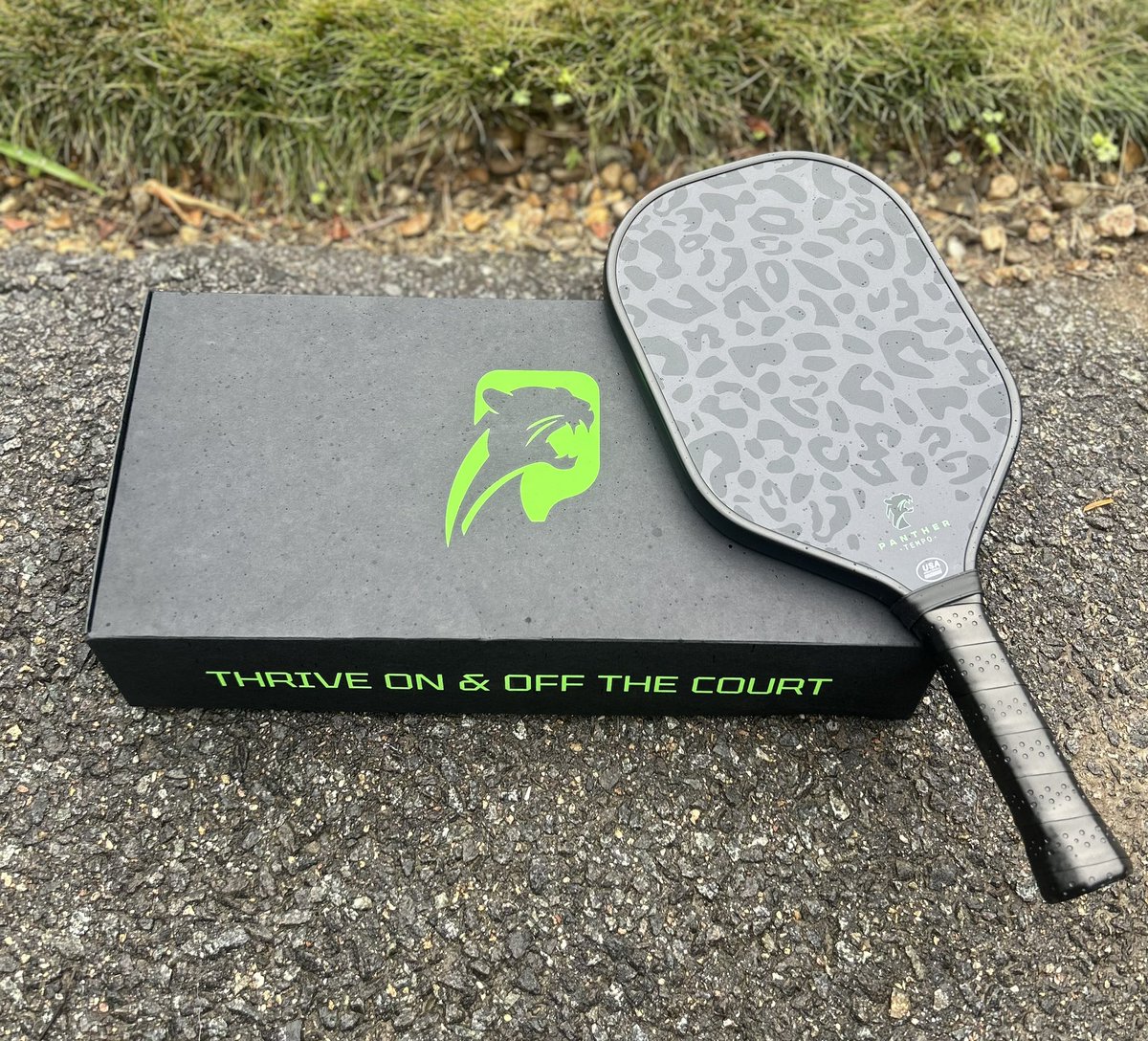 🔥 <a href="/BFortunato5x5/">Brandon Fortunato</a> #PickleballPanther