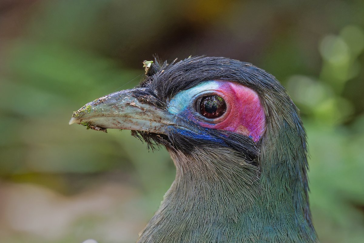 Pete Morris tweet media