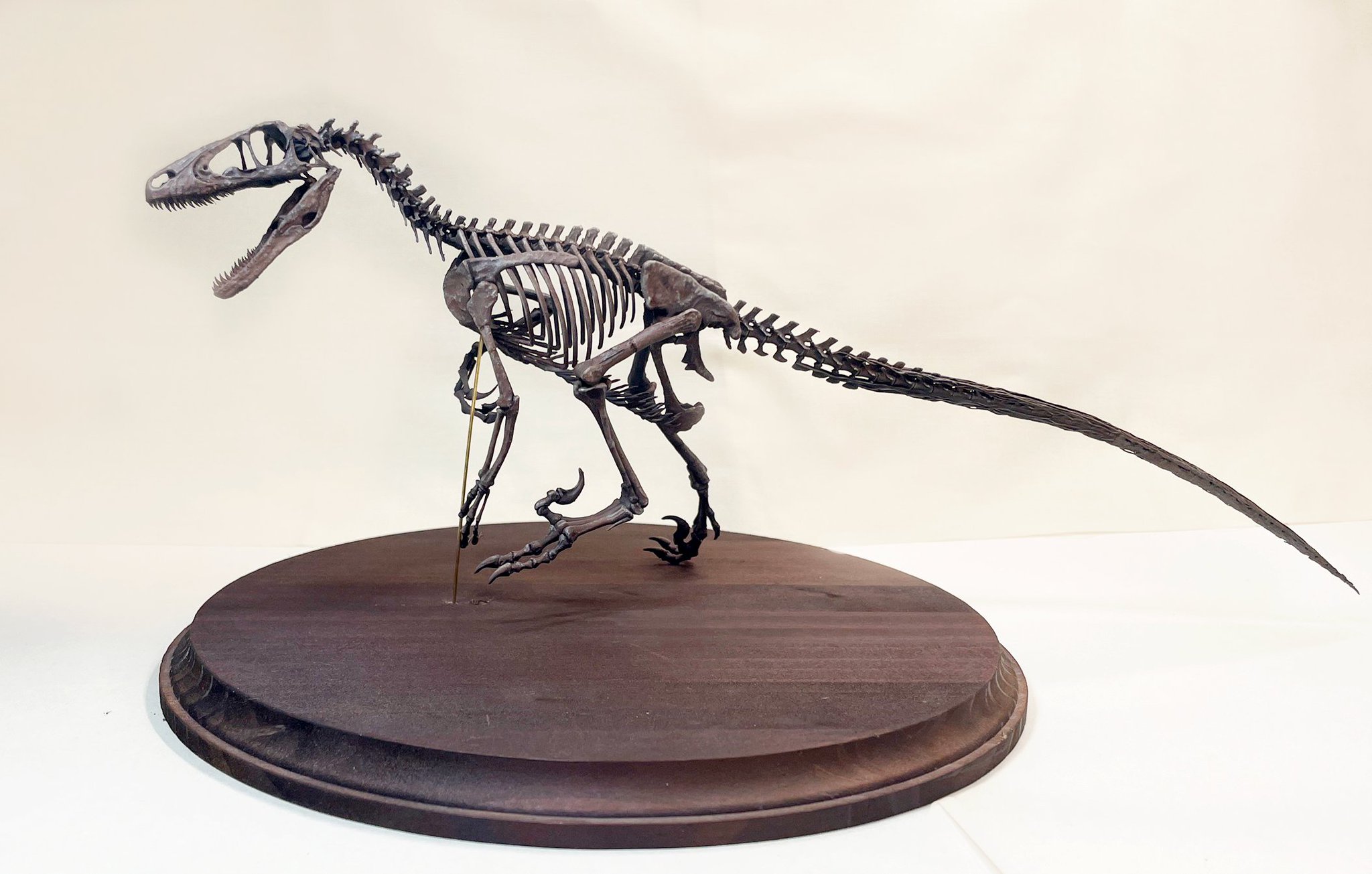 恐竜激レア 恐竜娘 モサ ガレージキット 人外 ワンフェス TFO Dinosaurs & co Toys 