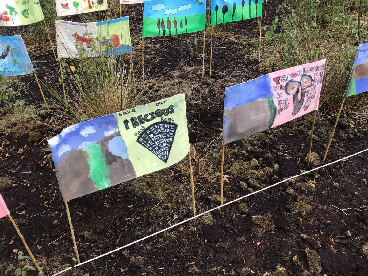 Our Year 6 Pupils enjoyed a visit to <a href="/LindowMoss/">Lindow Moss</a>  to install all of our school artwork. The art installations mark the 40th anniversary of the discovery of Lindow Man!
