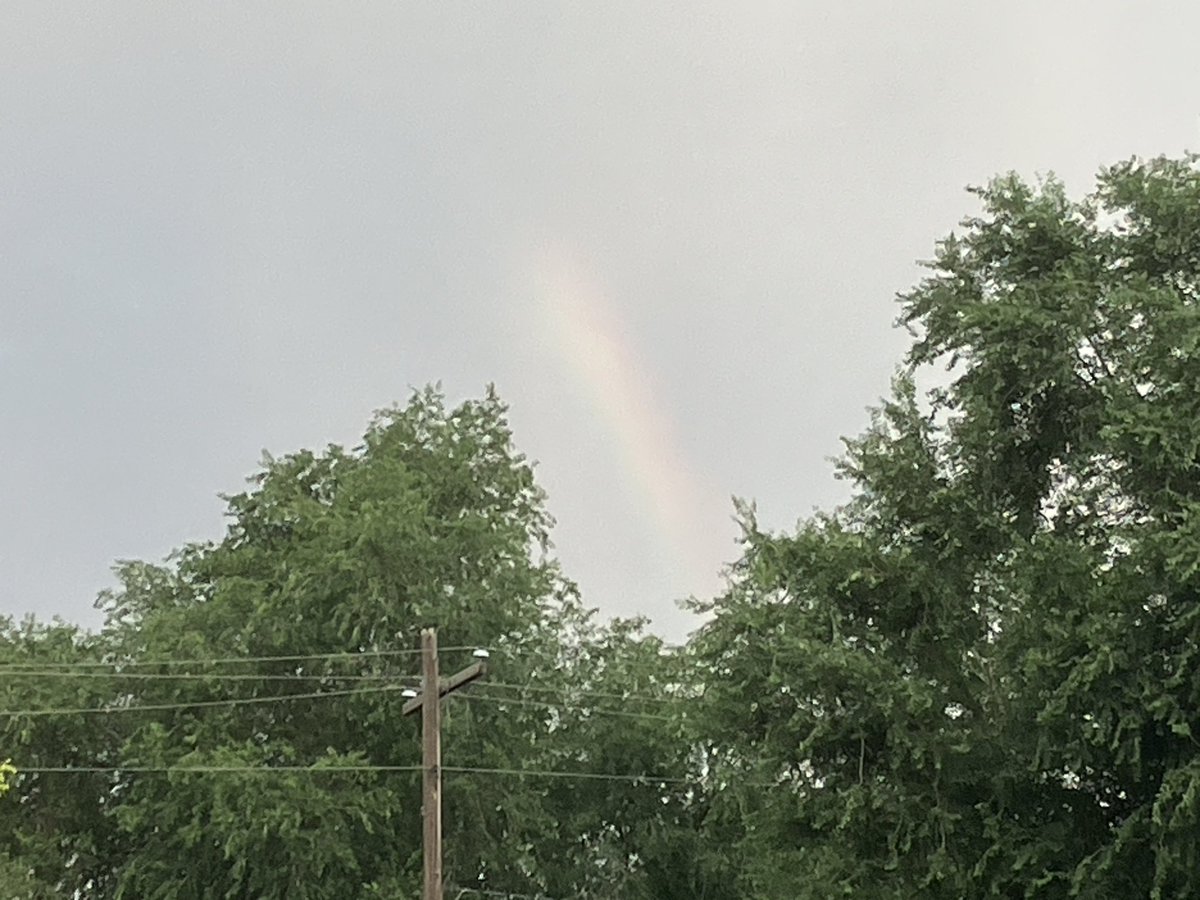SeanPMeans's tweet photo. A bit of a rainbow this morning over #RosePark. https://t.co/Lz7LzljWMP