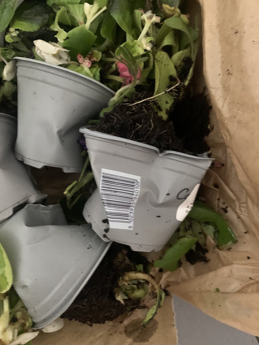 Lori Haley Fox tweet media