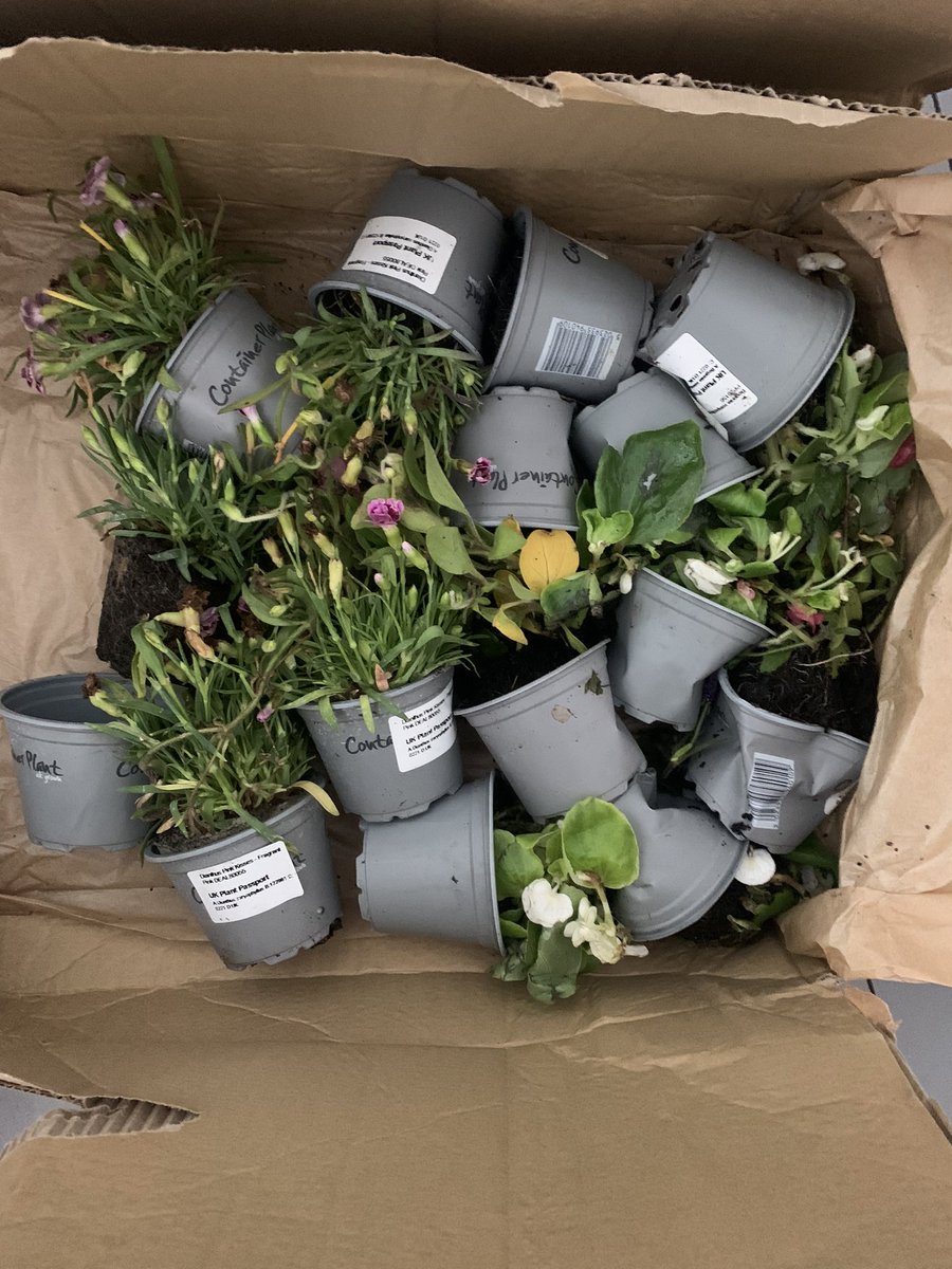 Lori Haley Fox tweet media