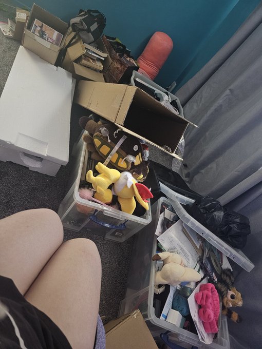 I'm being so slow with getting through all the stuff my parents dropped over at my new house 😅😂🙈 https://t<a href="/tag/throne"class="tags"><span>#throne</span></a><a href="/tag/wishlist"class="tags"><span>#wishlist</span></a>