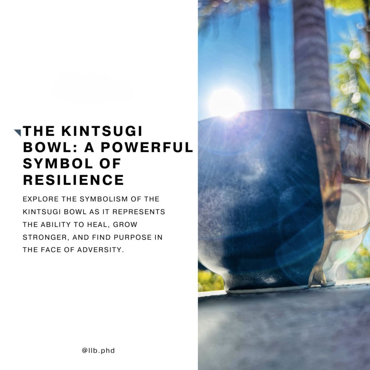 Lorry LeighBelhumeur, Ph.D. tweet media