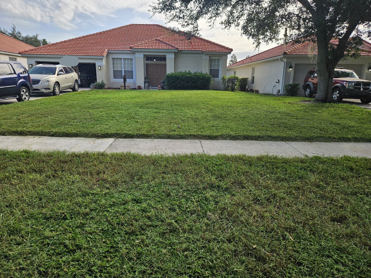 sirsworth's tweet image. Our "dead" yard sure looks nice.
#defendhoa #nohoa