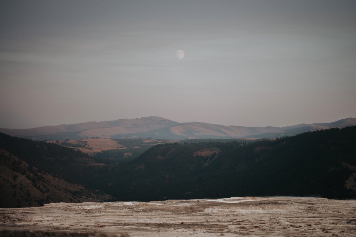 becgrady's tweet photo. I'm excited to share that an excerpt from a larger book project I've been working on is up on Elsewhere A Journal of Place in their Twilight issue. It's from a sliver of time when Sy and I did a residency moon in Wyoming and Montana. https://t.co/nhl9ngcQG8 https://t.co/yZgVzcG1dQ
