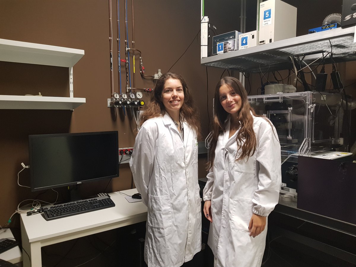IBECBarcelona's tweet photo. CAT
🔬☀️ L'IBEC obre les portes als estudiants a l'estiu
🧑🎓🧑🔬 Enguany 14 estudiants han fet estades a 10 laboratoris de l'#IBEC a través de programes com #JovesiCiència, #BojosPerLaCiència o #Batx2Lab, entre d’altres.
👉 Llegeix la notícia: https://t.co/kFPDHKjqI7 https://t.co/q53txOe0Jd