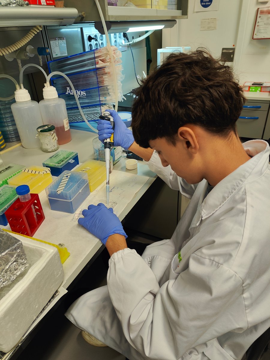 IBECBarcelona's tweet photo. @FCLP_Fundacio @PCB_UB @BarceloneLycee ENG
🔬☀️ #IBEC opens its doors to students for the summer
🧑🎓🧑🔬 This year, 14 students spent time in 10 IBEC laboratories through programmes such as #YouthAndScience, #MadForBioengineering and #Batx2Lab, among others.
👉 Read the news: https://t.co/7XQ17CUgnm https://t.co/OvB0zkiDgO