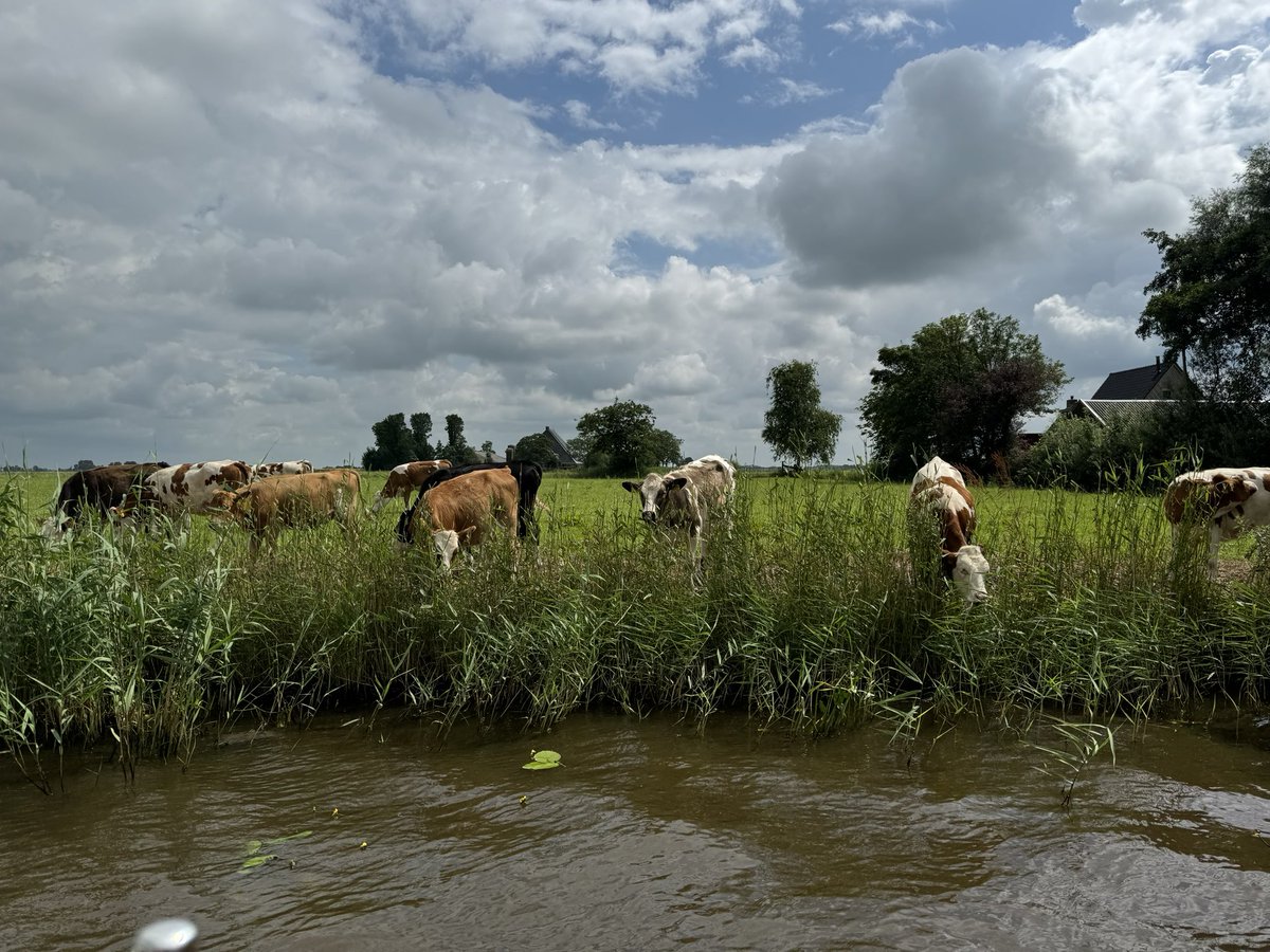 Onderweg naar #Dokkum