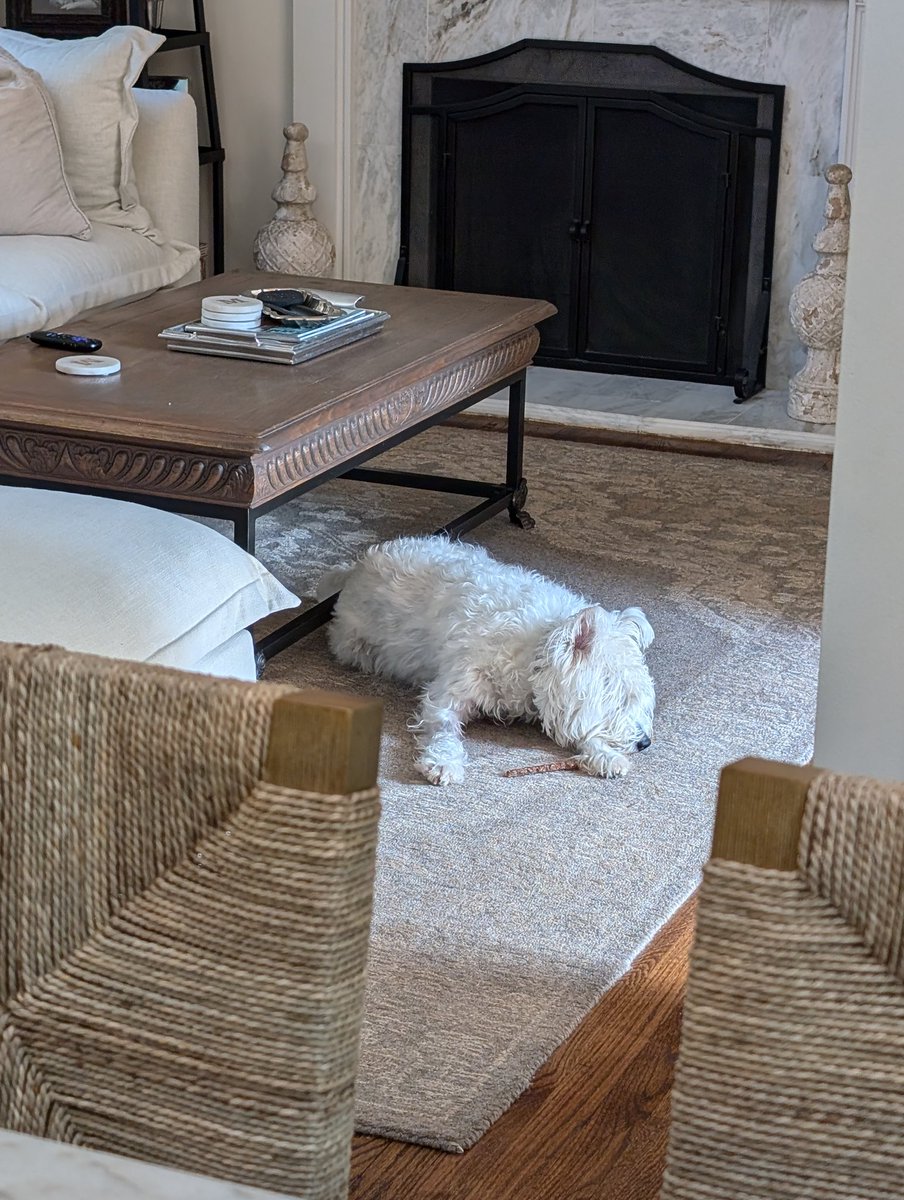 Anne Cutler tweet media