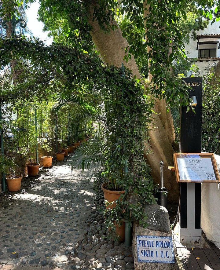 AndaluzaJASP's tweet photo. Shadows of Nature in Green 🌿🌳🌴
#PuenteRomanoMarbella #Marbella #LaPlazaDePuenteRomano #NobuMarbella https://t.co/jAf8rV2dYu