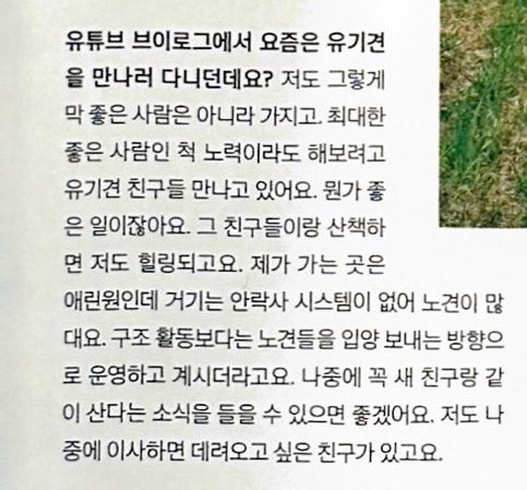 도운이 자기는 좋은 사람은 아니라서 최대한 좋은 사람인 척 노력이라도 해본다는데 그런다고 유기견 봉사하러 가는 사람이어딧어.. 도운이는 이미 좋은사람이라고ㅜㅜ