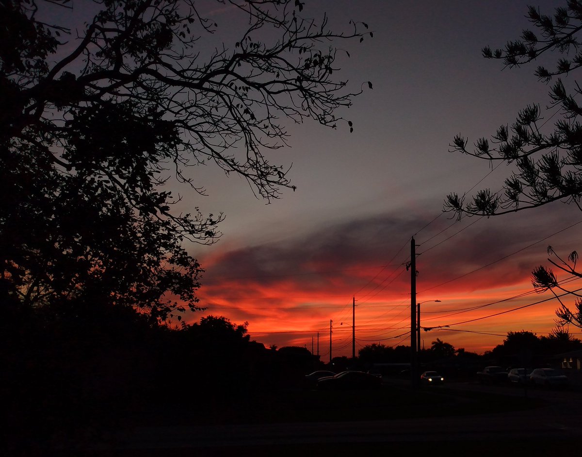 JorgeGNYCMIA's tweet photo. #Miami #Sky #Sunset #Palmtrees #photo #photodaily #phototoday #photoofthedaye #photogram #photograph #photographer #photography #photooftheweek #photos #photosession #photoshot #photostudio #skyphotography #sunrays #sunflares #lensflare #SunsetEvening https://t.co/CrlAEirql2