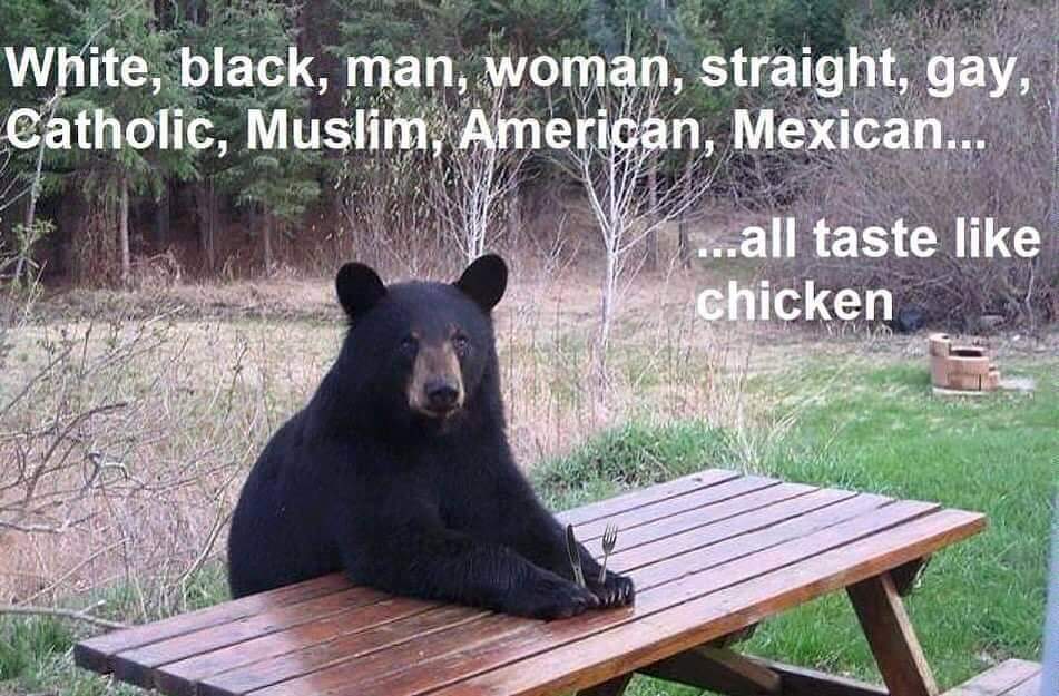 oldfarmgirlkah's tweet photo. #tuesdaytruthbomb

Poor lad, needs bigger cutlery 😉 https://t.co/vZnYfaFfVm
