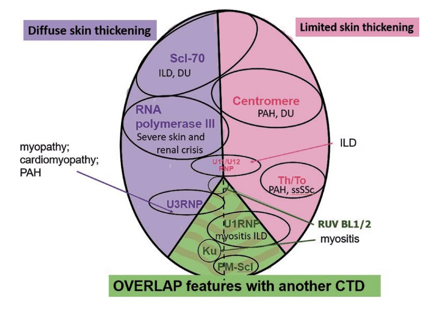 LastManStand85's tweet photo. Systemic Sclerosis associated antibodies and their associated cutaneous and SSc complications [S.R Johnson et al] 
#Rheumatology #MedTwitter https://t.co/cxitk1BZZn