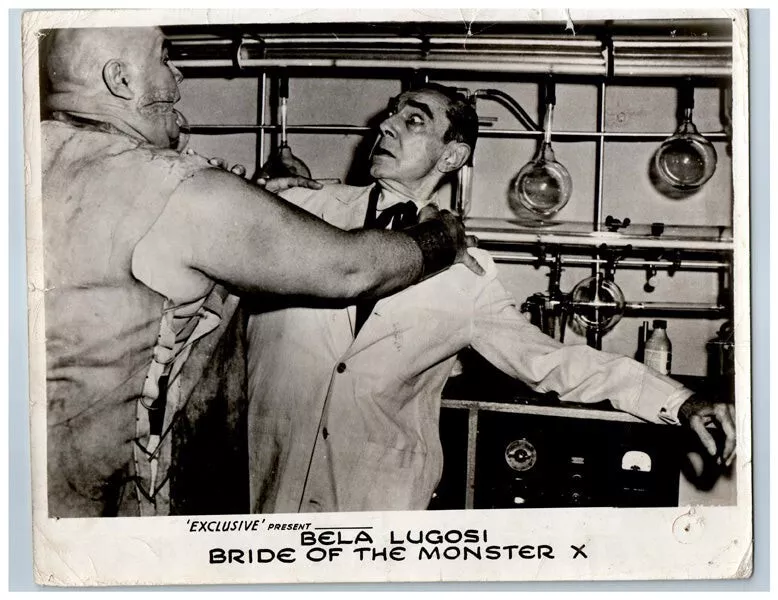 RealGilbertACP's tweet photo. #GGACP #TorForTuesday @Franksantopadre @RealGilbert https://t.co/c4QPMA9ts4