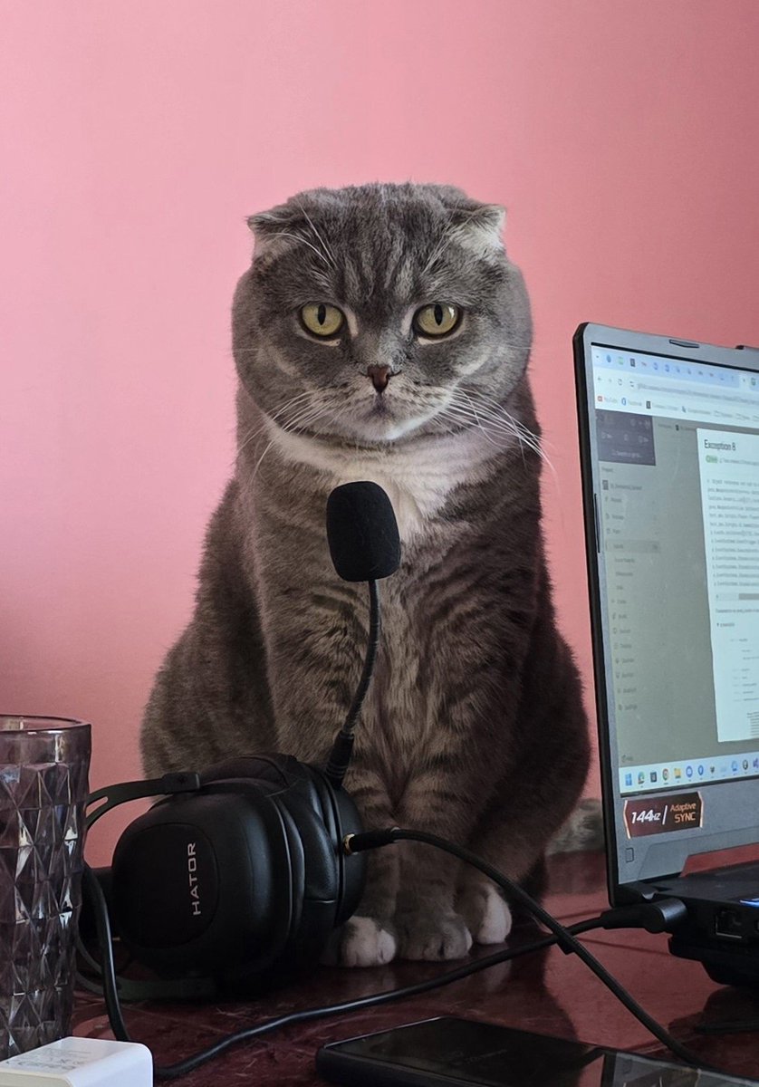 "Пані та панове, зараз буде кітяче звернення!"😁