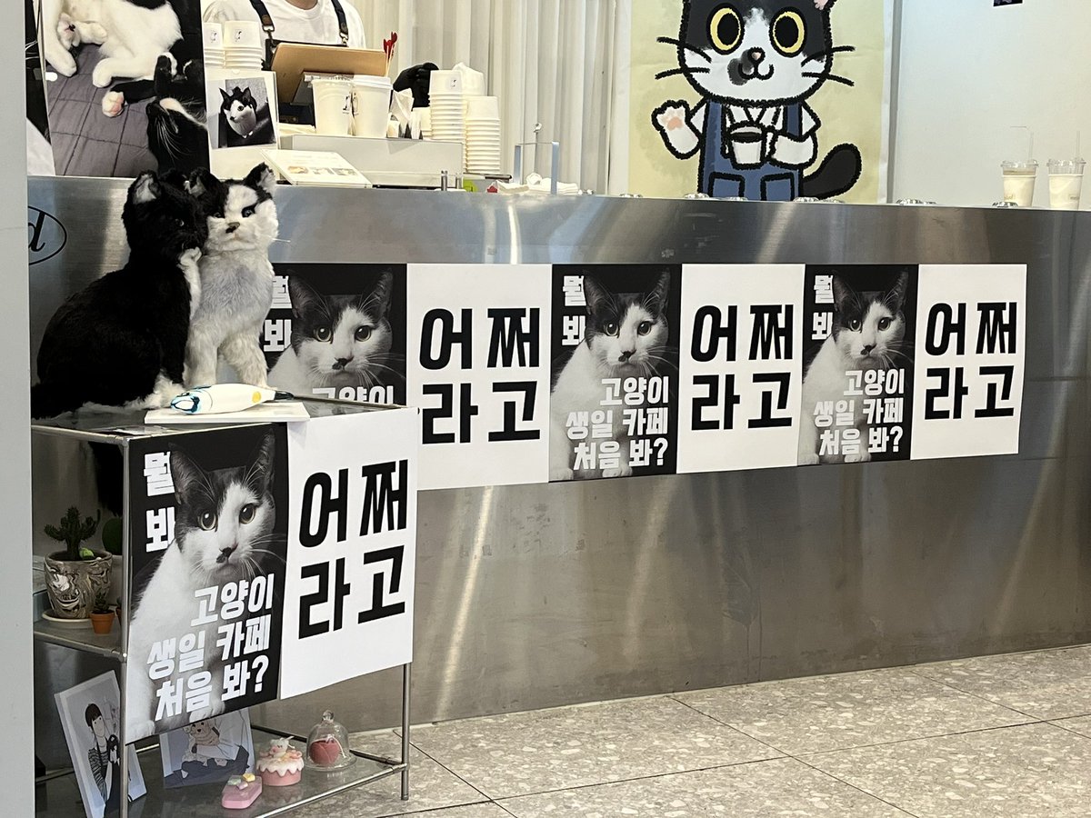 뭘 봐
고양이 생일 카페 처음 봐?
어 쩌 라 고

goat 하다.