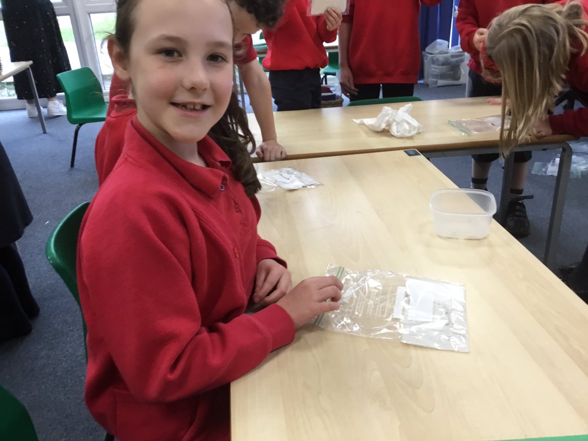 CuddingtonPri's tweet photo. Remember the green beans Skylarks grew on the window! Look at T’s now! #cuddingtoneco #cuddingtonscience #cuddingtony2 https://t.co/RTOYWwEIVE