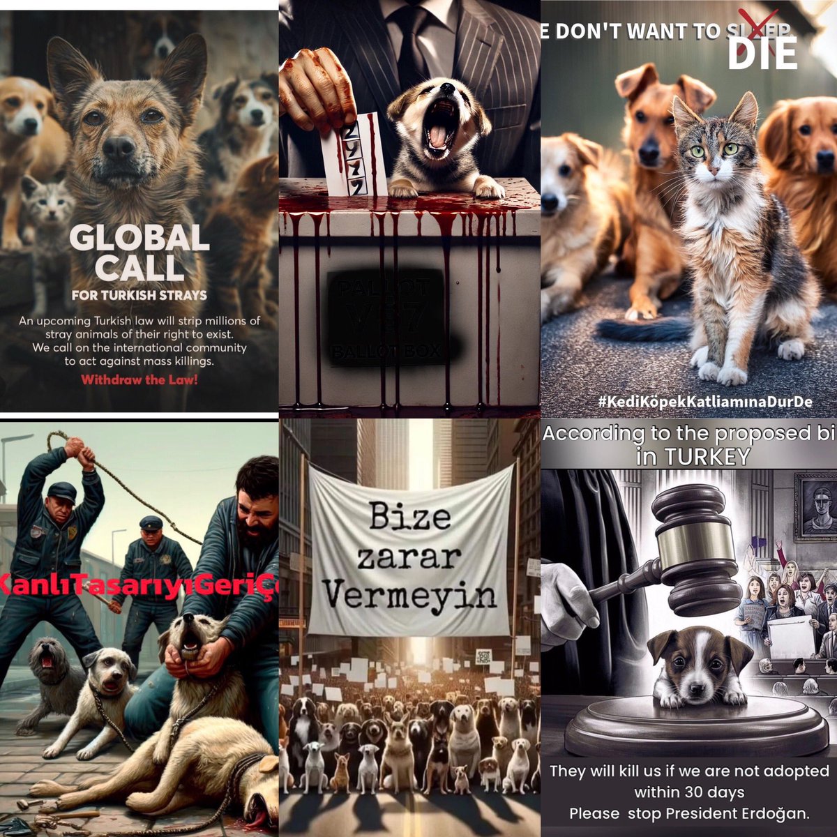 No threats or intimidation are going to prevent me from speaking out against the Turkish Governments plans to slaughter hundreds of thousands of street dogs &amp; cats. This is a stain on humanity #Turkey
