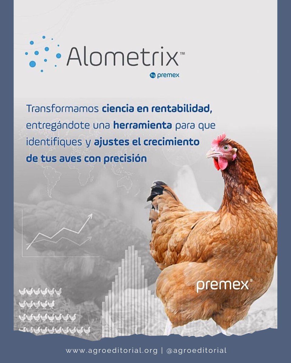 Agroeditorial's tweet photo. Alometrix es tecnología, conocimiento e innovación al servicio de la avicultura 🐥🐔
#PremexEsConocimiento #Alometrix #Avicultura #AgroEditorial #Ecuador #JuntosLoLogramos https://t.co/rmhiZ03PqN