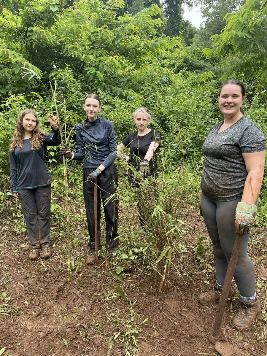 CDSHumanities's tweet image. The return from the Elephant Valley project! A challenging three days off grid with a charity for rescued/retired elephants and the local Bunong people.
Very wet with monsoon rains, very muddy and a few creepy crawlies, but the team have been planting endangered trees and hiking