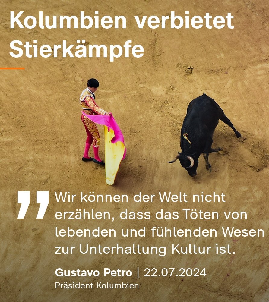 SGEtienneTurner's tweet photo. ÜBERFÄLLIG!
🐃🐃🐃
#Stiere | #Stierkämpfe | #Kolumbien | #Colombia | #Toro | #Corrida | #Spanien https://t.co/CPY7bhJw9A