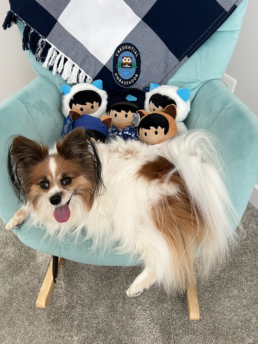 Denise Graber, M.Ed. tweet media