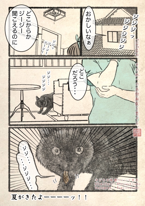 Motidukineko's tweet photo. 夏だ。 https://t.co/0BCv0XF3Vs