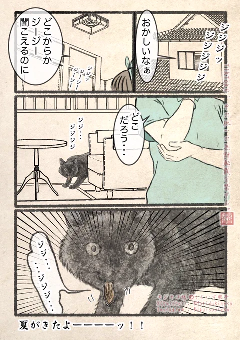 夏だ。 