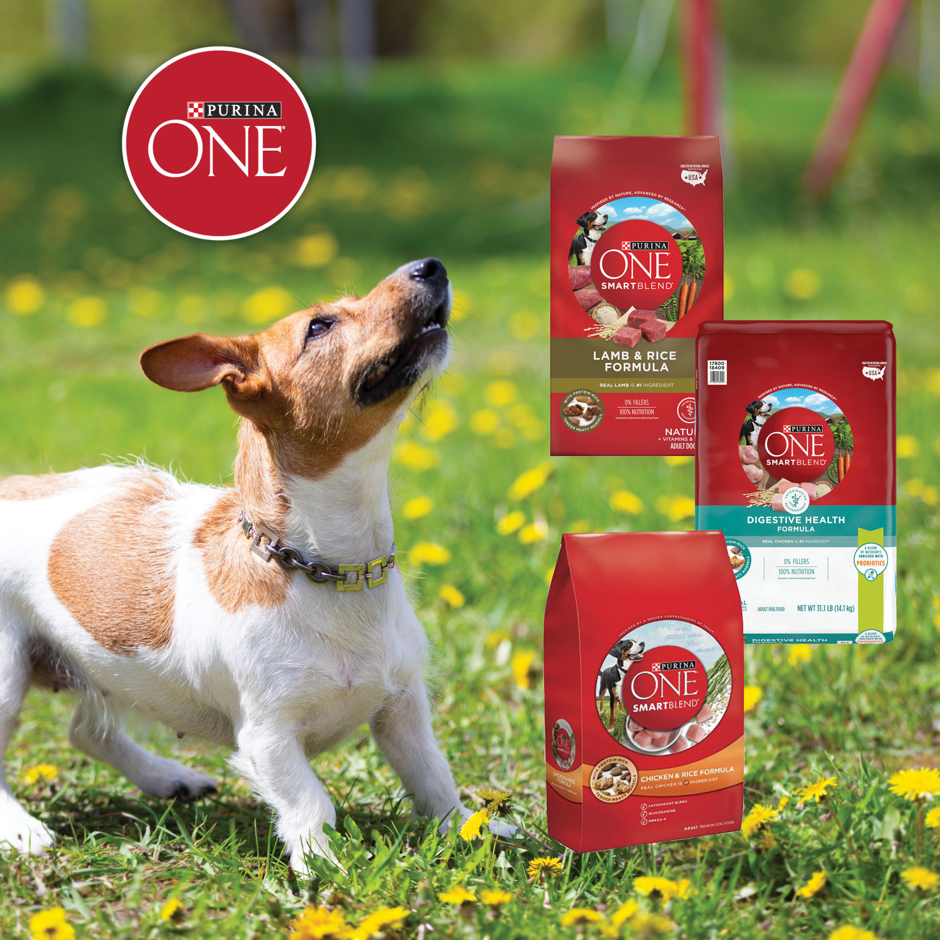 Bomgaars Supply on X Give your pet Purina ONE for 28 days and you could see visible differences in your dog s health. Join nearly 2 000 000 pet owners and take the Purina ONE