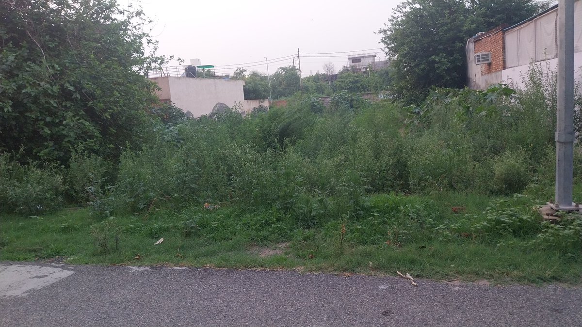 Amit Sharma (@amitsaraswat005) on Twitter photo Kindly see the position middedest in Vip Sector area position . Kindly Clean this
Ho. A 104 to A 115 Opposite Panoasis Sector 70 .
<a href="/dmgbnagar/">DM NOIDA Gautam Buddha Nagar</a> <a href="/CeoNoida/">CEO, NOIDA Authority</a> <a href="/noida_authority/">NOIDA Authority</a> <a href="/CMOfficeUP/">CM Office, GoUP</a> <a href="/SwachhBharatGov/">Swachh Bharat Urban</a> Kindly see the position middedest in Vip Sector area position . Kindly Clean this
Ho. A 104 to A 115 Opposite Panoasis Sector 70 .
<a href="/dmgbnagar/">DM NOIDA Gautam Buddha Nagar</a> <a href="/CeoNoida/">CEO, NOIDA Authority</a> <a href="/noida_authority/">NOIDA Authority</a> <a href="/CMOfficeUP/">CM Office, GoUP</a> <a href="/SwachhBharatGov/">Swachh Bharat Urban</a>